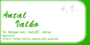 antal valko business card